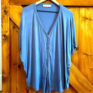 Magnolia South Small Blue Oversized Top